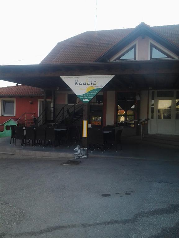 Guesthouse Kaucic Benedikt v Slovenskih Goricah Exterior photo
