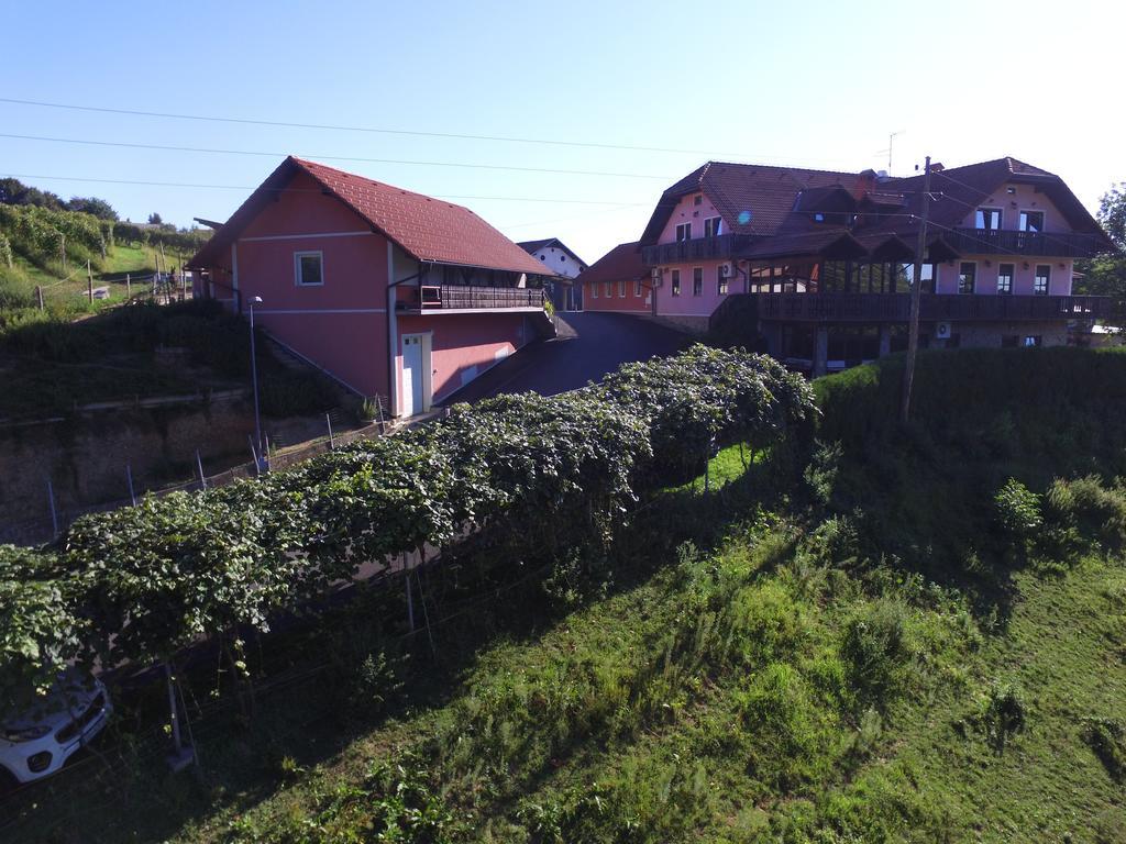 Guesthouse Kaucic Benedikt v Slovenskih Goricah Exterior photo